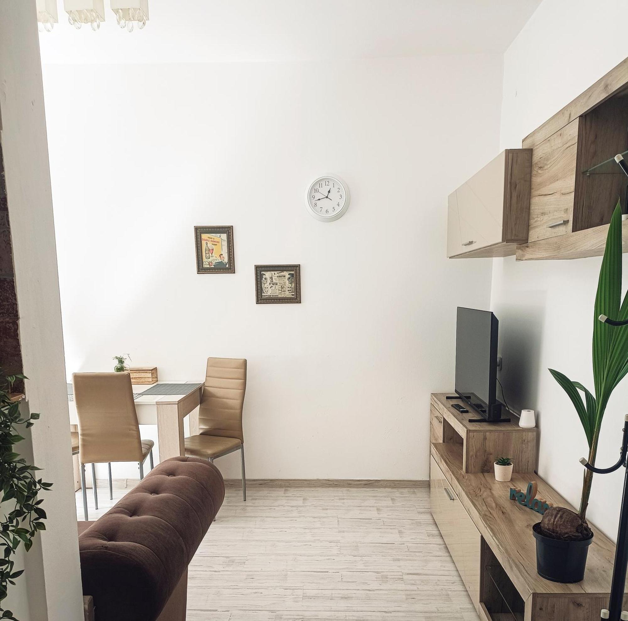 Friendly Little Studio Брашов Экстерьер фото