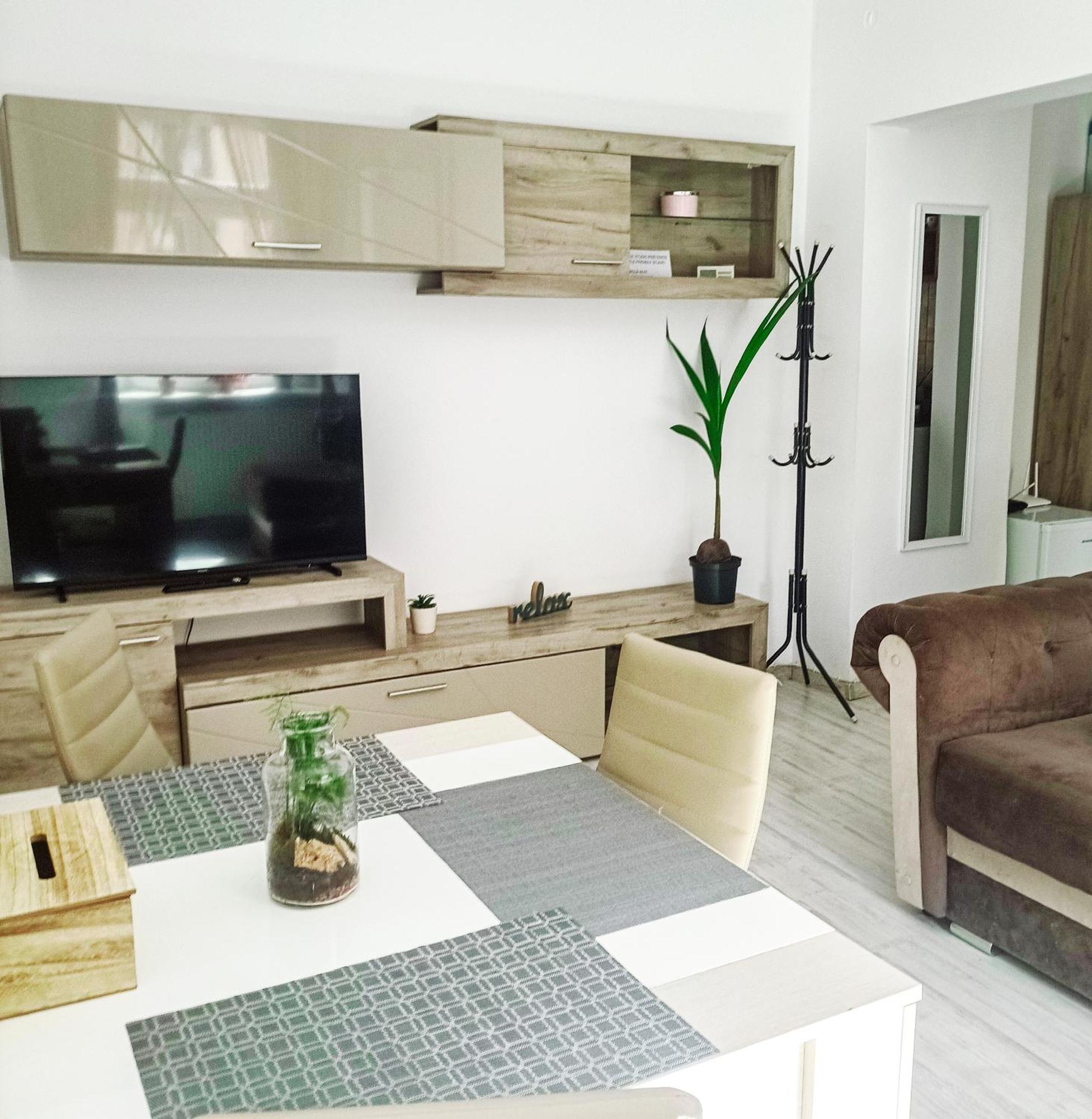 Friendly Little Studio Брашов Экстерьер фото